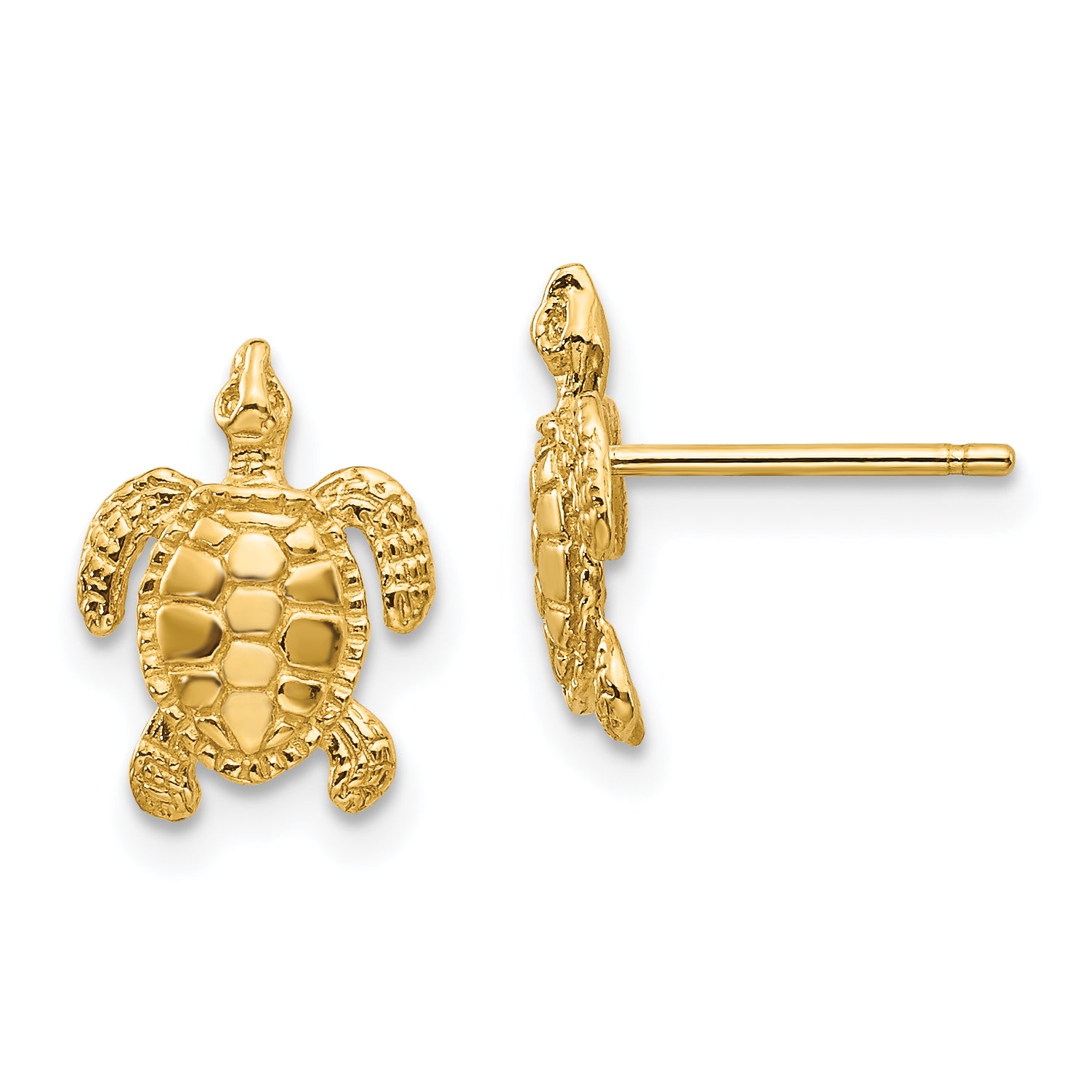 14k Sea Turtle Post Earrings Main image