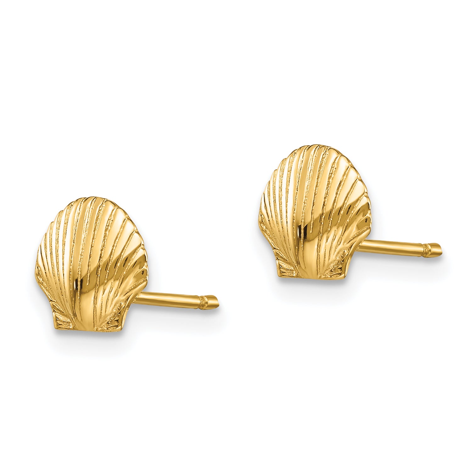 14k Mini Scallop Shell Post Earrings Secondary image