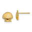14k Scallop Shell Post Earrings