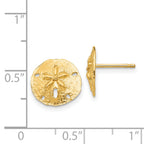 14k Sand Dollar Post Earrings