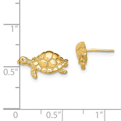 14K Polished Swimming Sea Turtle Post Earrings