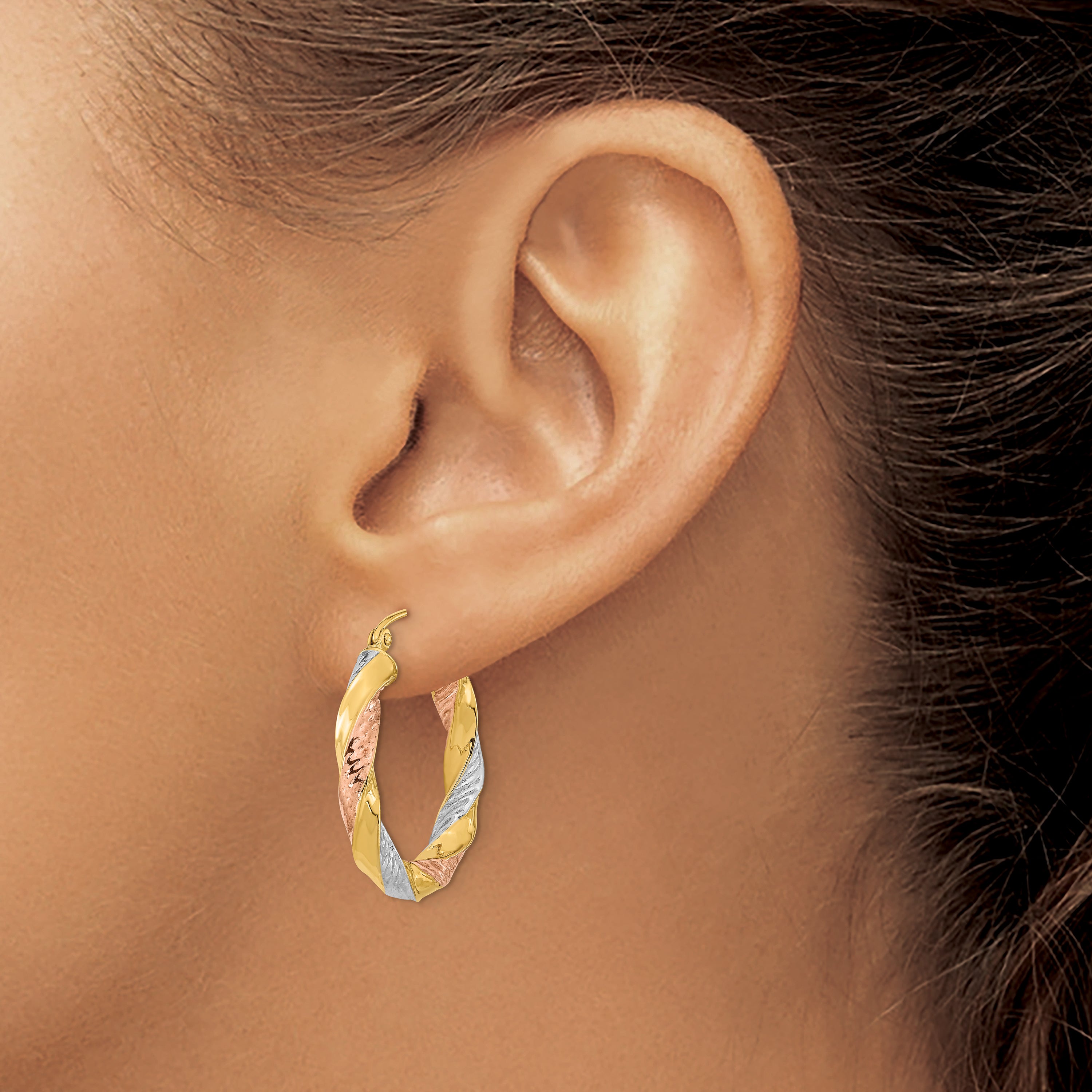 14k Tri-color Polished & D/C Twist Hoop Earrings