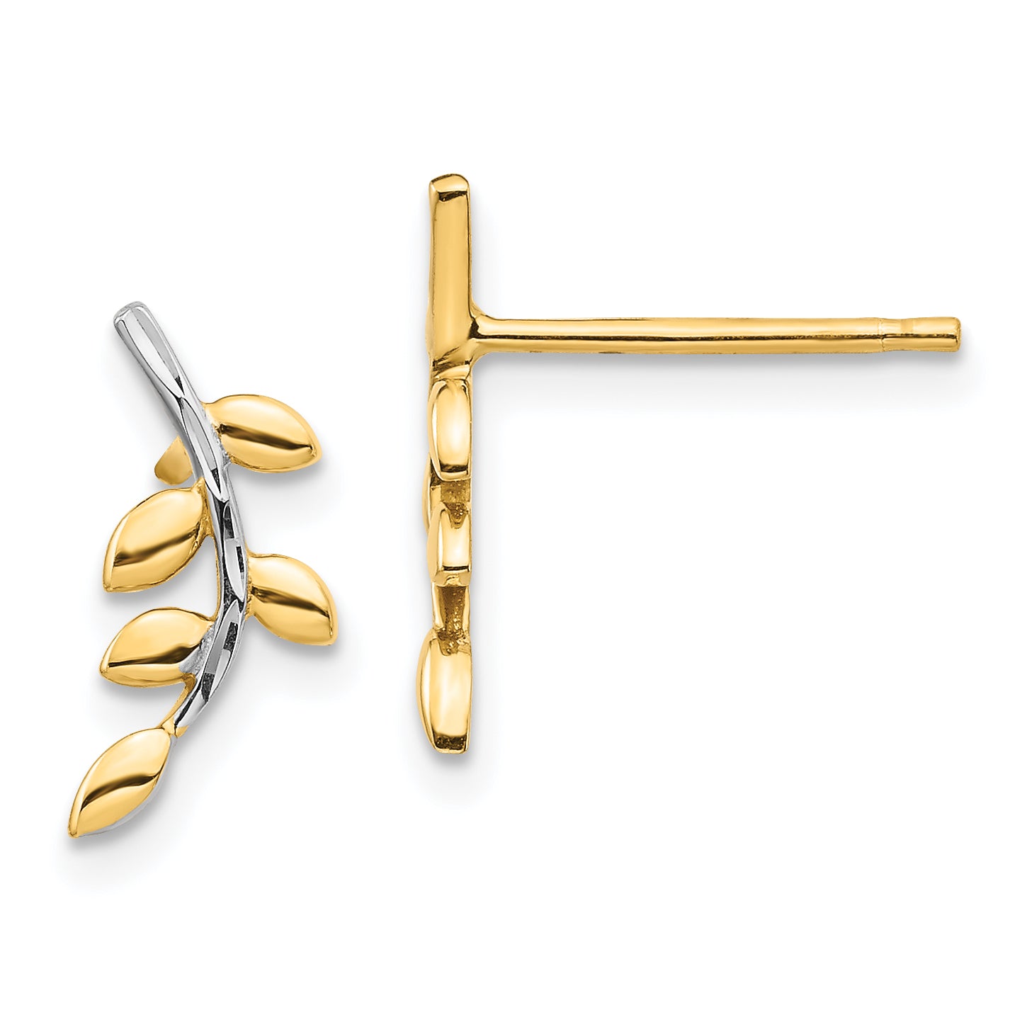 14K & White Rhodium Leaves Post Earrings Main image