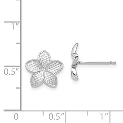 14K White Polished & Textured Plumeria Post Earrings