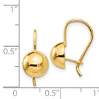 14k 8.00mm Hollow Half Ball Earrings