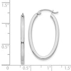 14k White Gold Oval Hoop Earrings