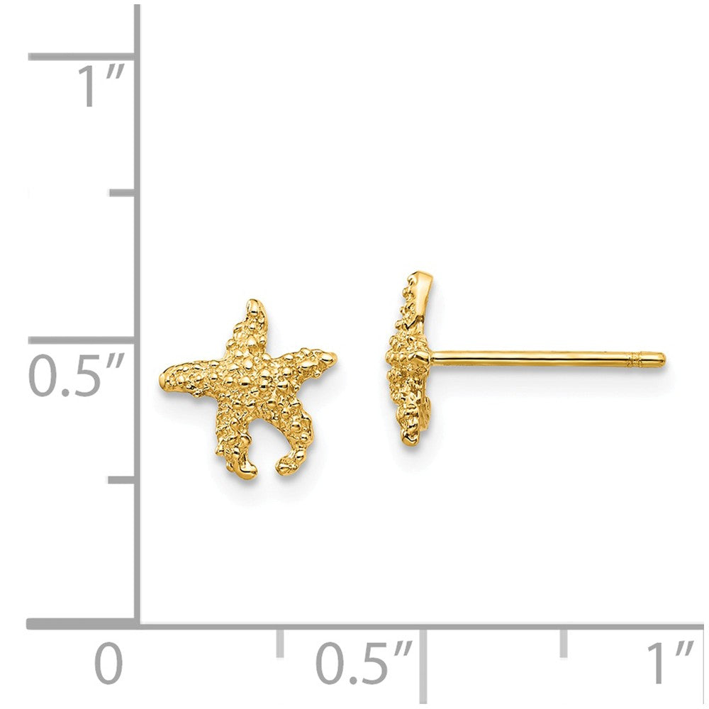 14k Polished & Textured Starfish Post Earrings
