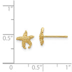 14k Polished & Textured Starfish Post Earrings