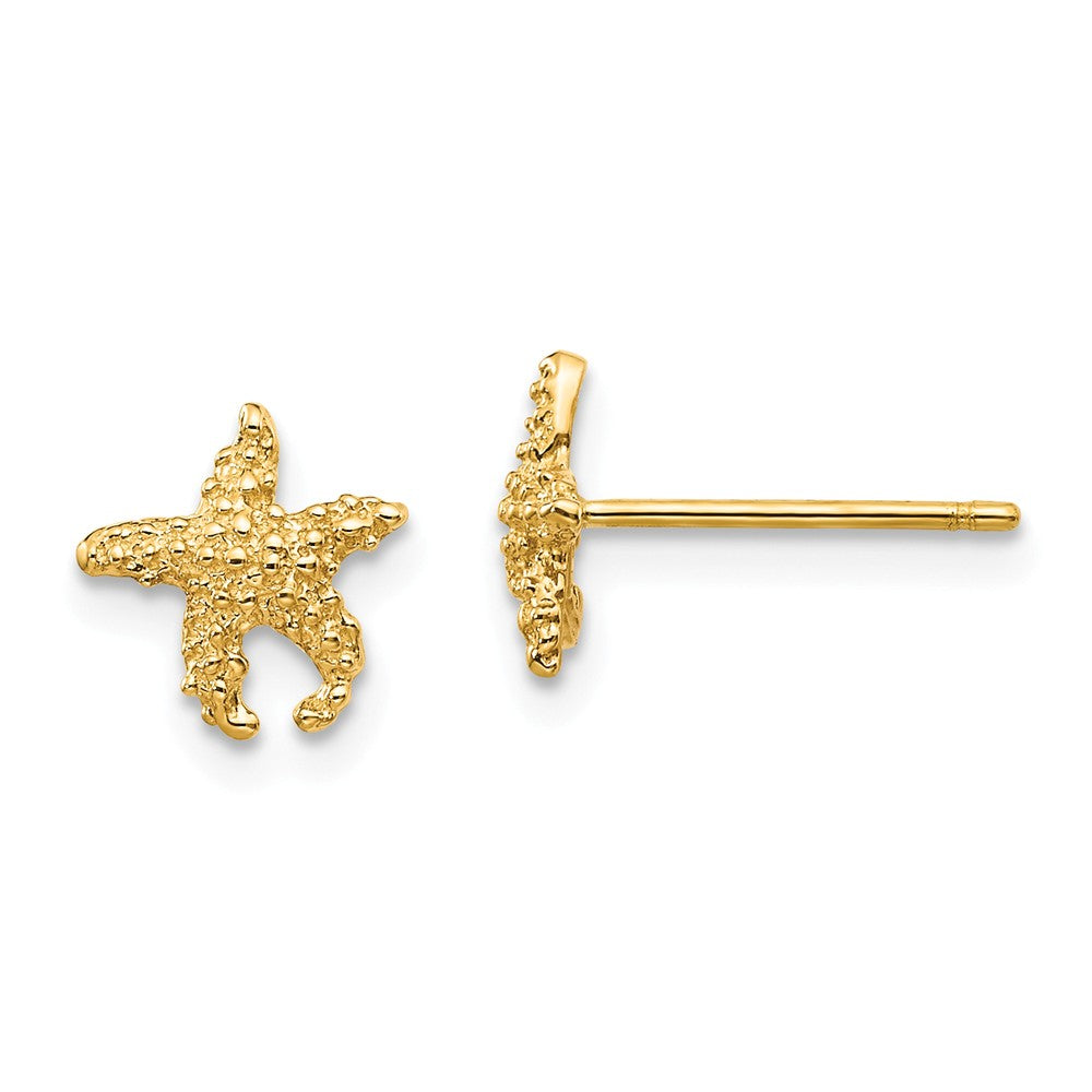 14K Polished and Textured Starfish Post Earrings