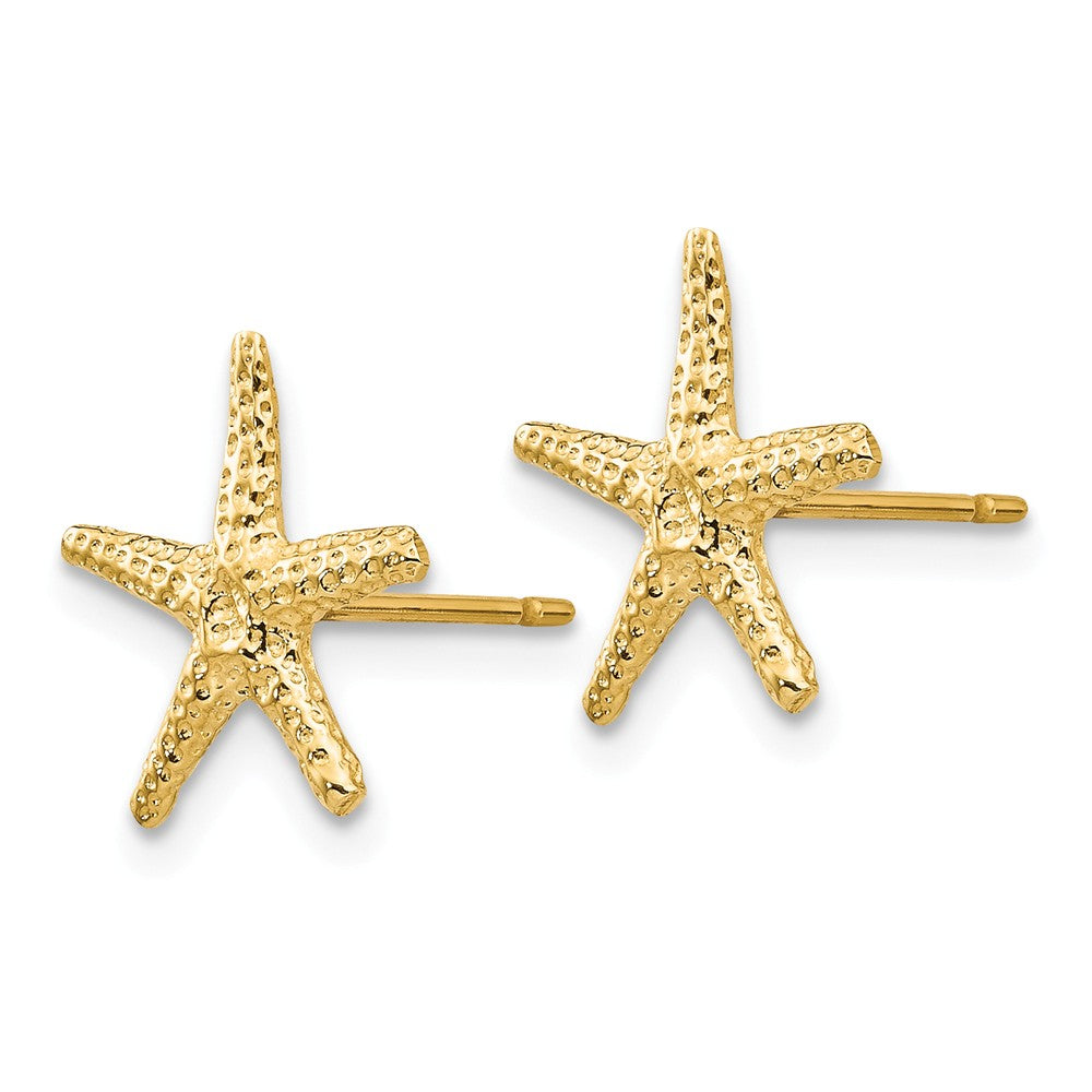 14K Starfish Post Earrings Secondary image