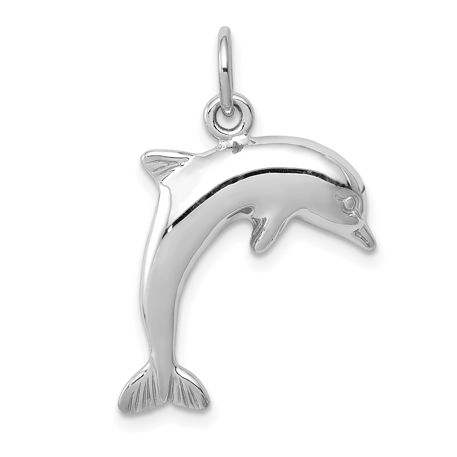 14k White Gold Dolphin Charm Main image