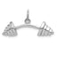 14k White Gold Barbell Charm