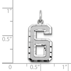14Kw Large Brushed Diamond-cut  Number 6 Charm