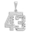 14kw Large Brushed Diamond-cut Number 43 Charm