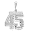 14kw Large Brushed Diamond-cut Number 45 Charm