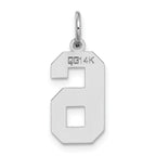 14Kw Medium Satin Number 6 Charm