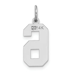 14Kw Medium Satin Number 6 Charm