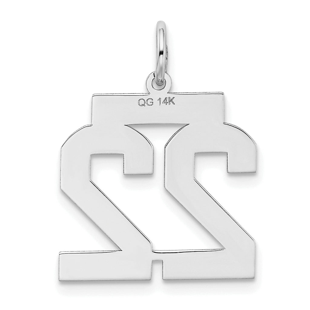 14K WG Medium Satin Number 22 Charm