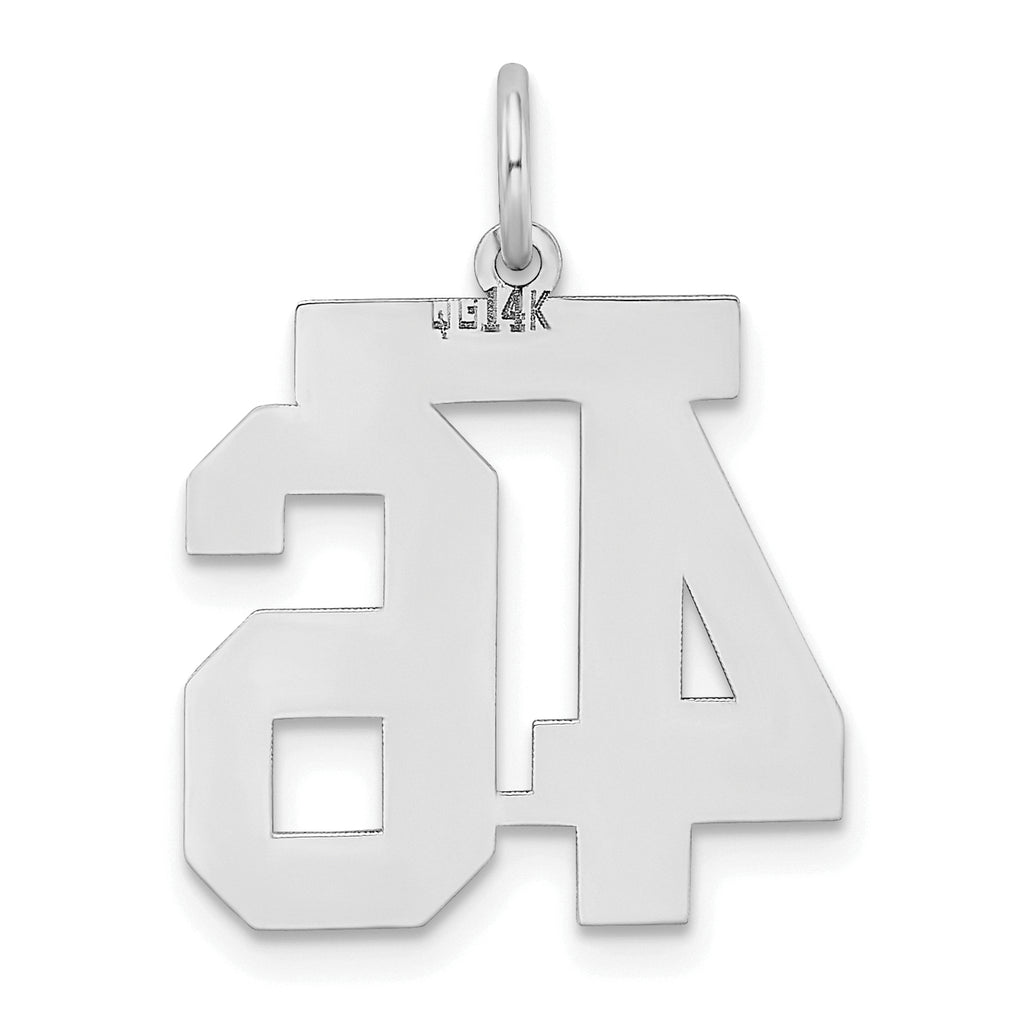 14K WG Medium Satin Number 46 Charm