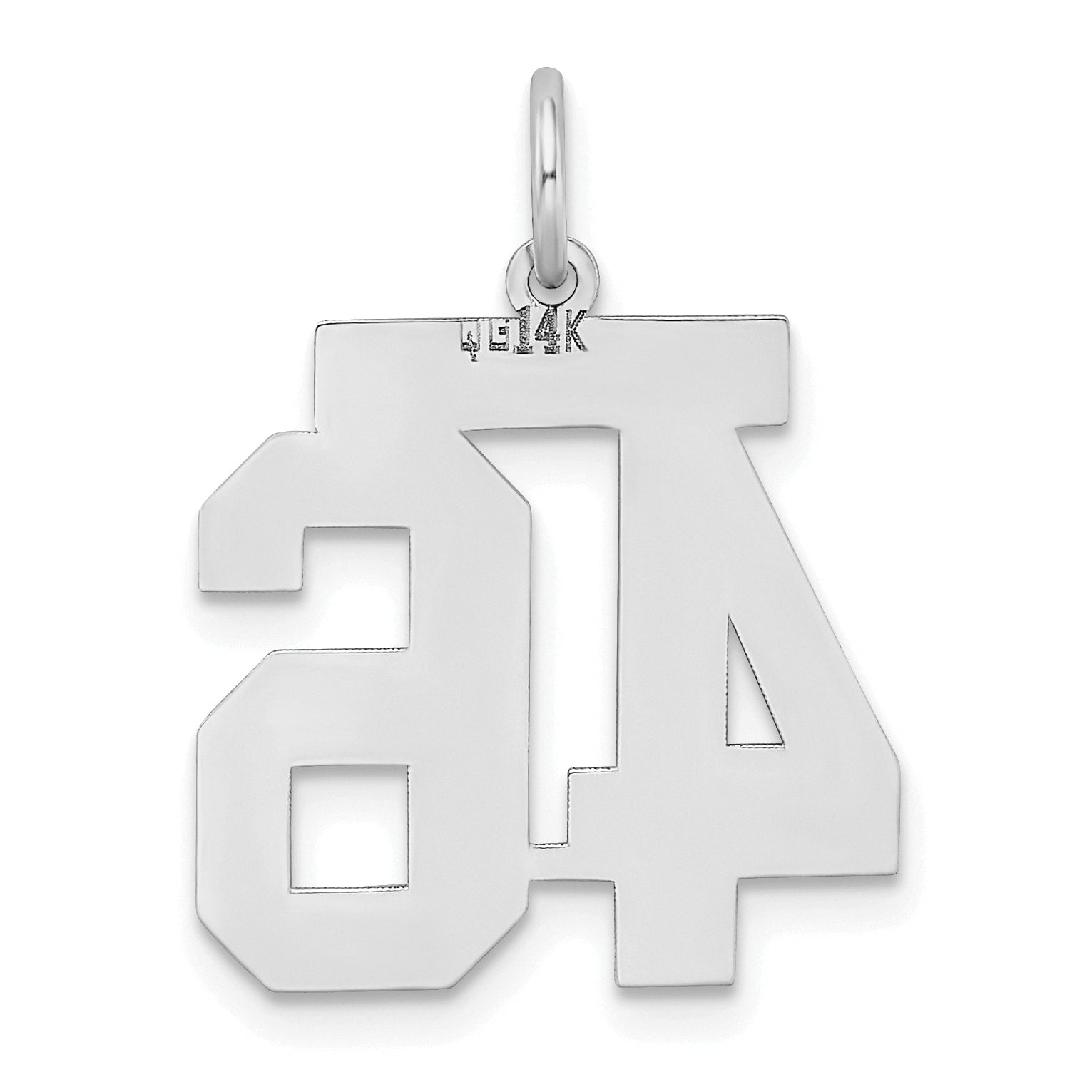 14K WG Medium Satin Number 46 Charm
