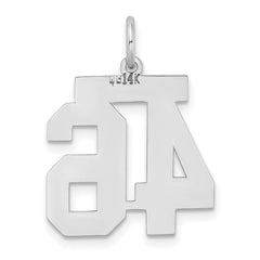 14K WG Medium Satin Number 46 Charm