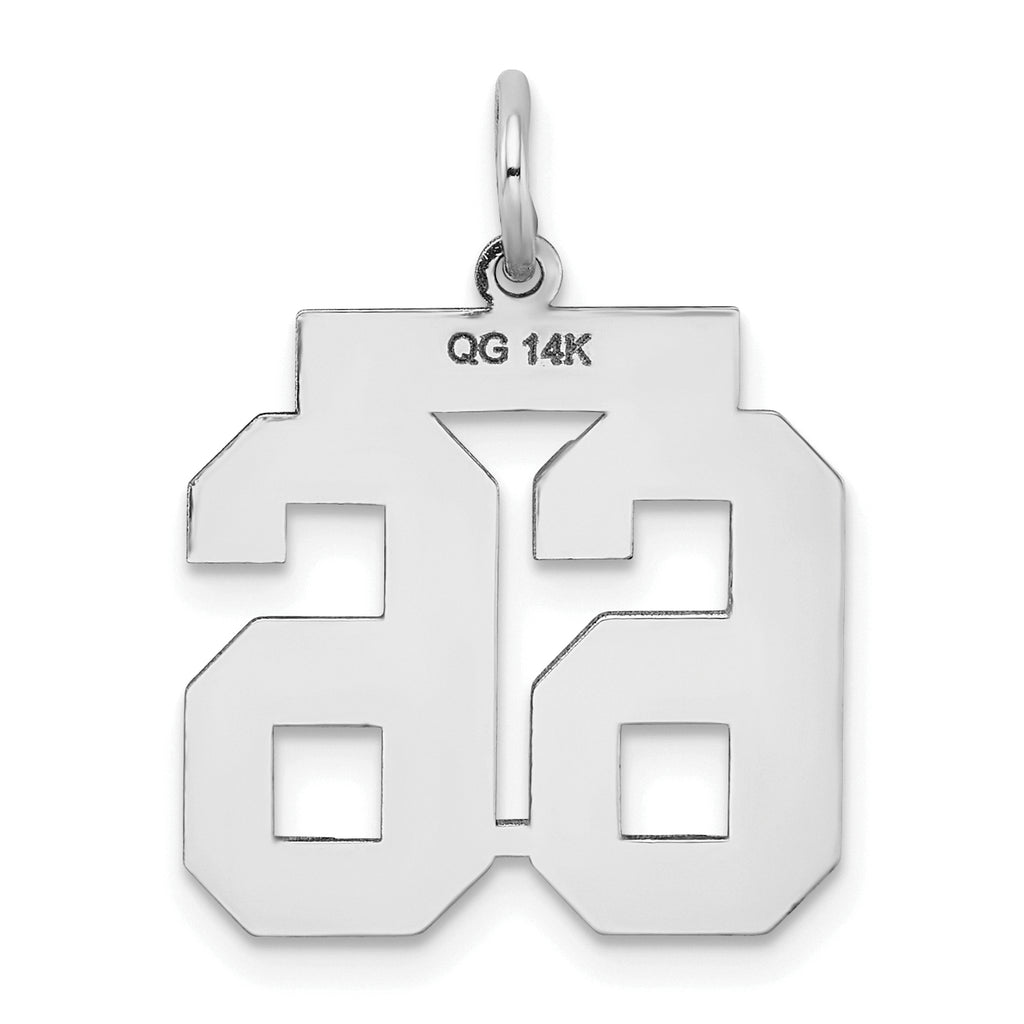 14K WG Medium Satin Number 66 Charm