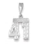 14K White Gold Small Diamond-cut Number 41 Charm