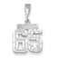 14K White Gold Small Diamond-cut Number 65 Charm