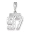 14K White Gold Small Diamond-cut Number 97 Charm