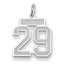14K WG Small Satin Number 29 Charm