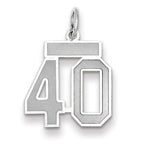 Small Number 40 Charm in 14K White Gold, Satin - Sophia Jewelers