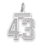 14K WG Small Satin Number 43 Charm