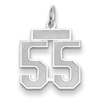 Small Number 55 Charm in 14K White Gold, Satin - Sophia Jewelers