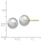 14k 10-11mm Grey Round Freshwater Cultured Pearl Stud Post Earrings
