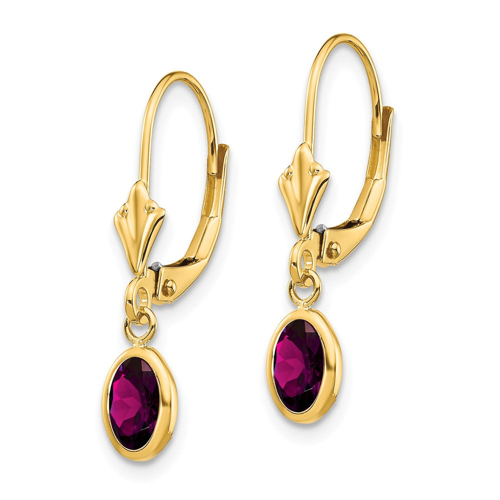 14K 6x4 Oval Bezel June/Rhodolite Leverback Earrings Secondary image