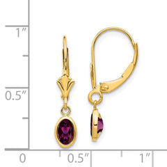 14k 6x4 Oval Bezel June/Rhodolite Leverback Earrings