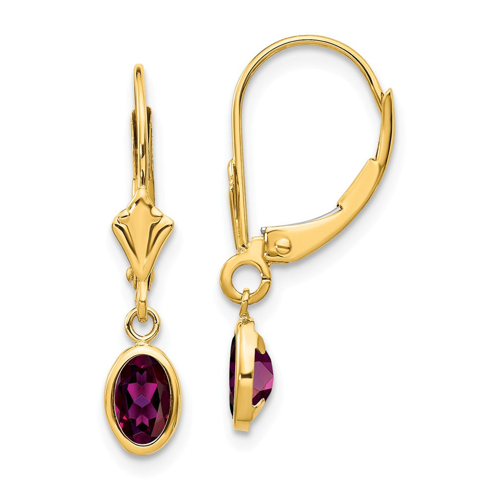 14K 6x4 Oval Bezel June/Rhodolite Leverback Earrings Main image
