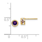 14k 4mm Bezel February/Amethyst Post Earrings