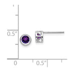 14k White Gold  4mm Bezel February/Amethyst Post Earrings