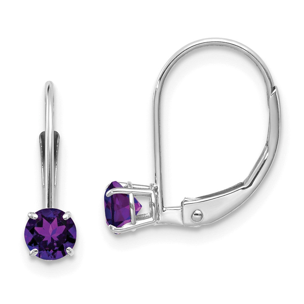 14K White Gold 4mm Amethyst/February Earrings Main image