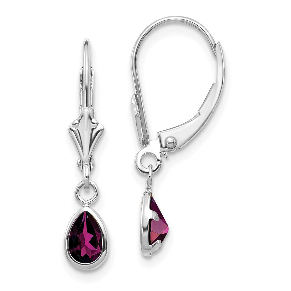14K White Gold 6x4mm Rhodolite Garnet/June Earrings Main image