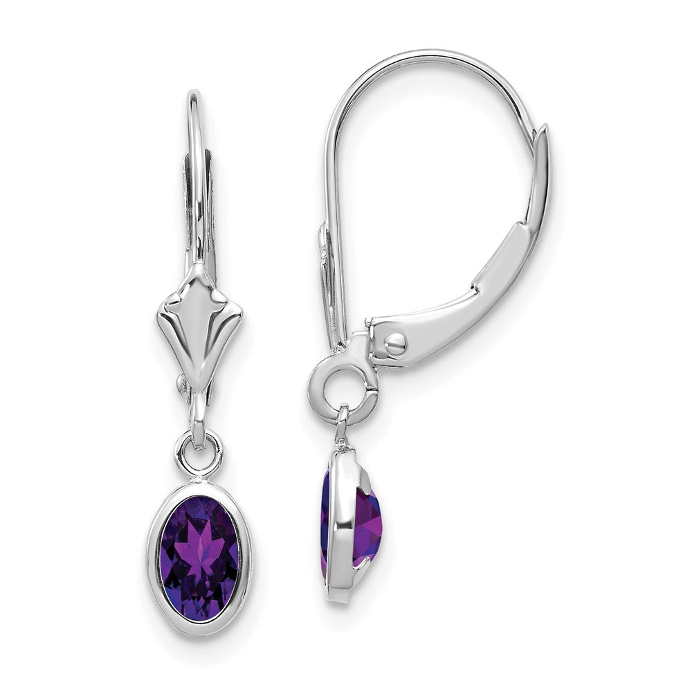 14K White Gold 6x4mm Oval Amethyst/February Earrings Main image