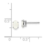 14k White Gold 6x4mm Opal Earrings