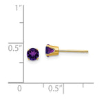 14k 4mm February/Amethyst Post Earrings