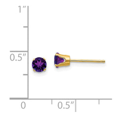 14k 4mm February/Amethyst Post Earrings