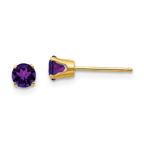 14K 4mm February/Amethyst Post Earrings