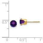 14k 5mm Amethyst Earrings - February