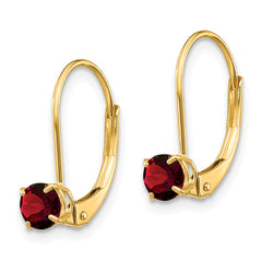 14K Garnet Earrings - January