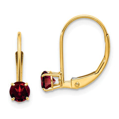 14K Garnet Earrings - January