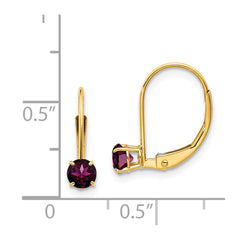 14k 4mm Round June/Rhodolite Leverback Earrings